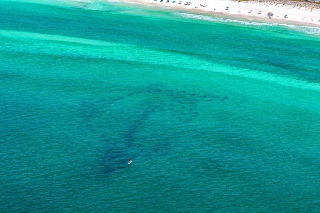 Caribbean Dunes 120 Destin Eksteriør billede